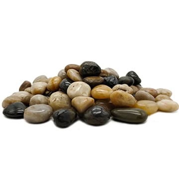 1lb Natural Polished Pebbles for Garden & Aquarium