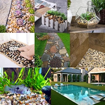 1lb Natural Polished Pebbles for Garden & Aquarium