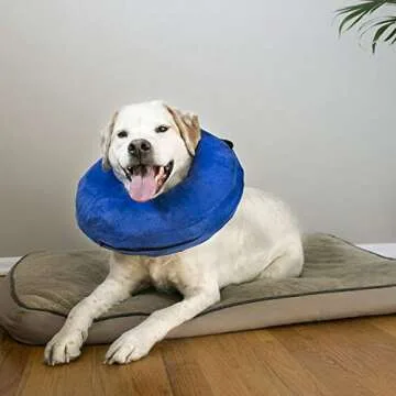 KONG Cloud Collar - Plush Inflatable Recovery Collar