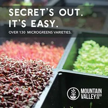 Speckled Pea Sprouting Seeds - 1 Lbs - Certified Organic, Non-GMO Green Pea Sprout Seeds - Sprouts & Microgreens