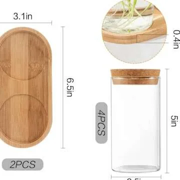 Live Small Office Plant for a Fresh Workspace