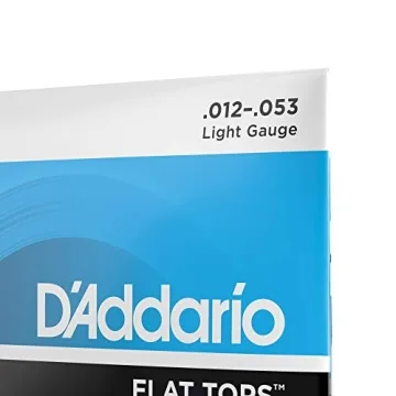 D'Addario Flat Tops Phosphor Bronze Acoustic Strings
