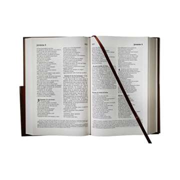 La Biblia Católica: Edición letra grande. Tapa dura, marrón, con Virgen de Guada lupe en cubierta / Catholic Bible. Hard Cover, brown, with Virgen (Spanish Edition)