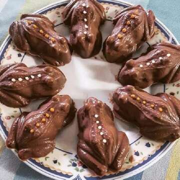 Life of the Party Frog A126 Chocolate Candy Mold with Instructions