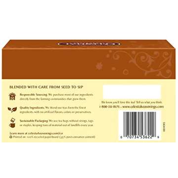 Celestial Seasonings Herbal Tea, Fireside Vanilla Spice, Caffeine Free, 20 Tea Bags (Pack of 6)