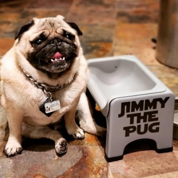 Fluff Trough Elevated Dog Bowl for Food Perfect for Pets