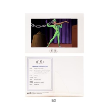 McFarlane Toys - The New Batman Adventures The Riddler 6in Scale Action Figure