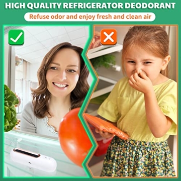 Rechargeable Ozone Refrigerator Deodorizer 2-Pack