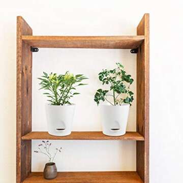 Laerjin Plastic Plant Pots for Indoor Plants, 5.5 Inch High Drainage Deep Reservoir Plastic Flower Planter Pots, Modern Decorative Garden Pots for Succulents, Herbs, African Violets - Set of 8