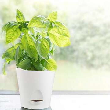 Laerjin Plastic Plant Pots for Indoor Plants, 5.5 Inch High Drainage Deep Reservoir Plastic Flower Planter Pots, Modern Decorative Garden Pots for Succulents, Herbs, African Violets - Set of 8