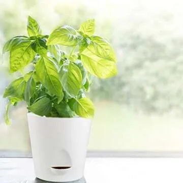 Laerjin Plastic Plant Pots for Indoor Plants, 5.5 Inch High Drainage Deep Reservoir Plastic Flower Planter Pots, Modern Decorative Garden Pots for Succulents, Herbs, African Violets - Set of 8