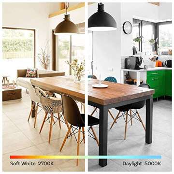 Energy Efficient Amazon Basics Soft White LED Light Bulb