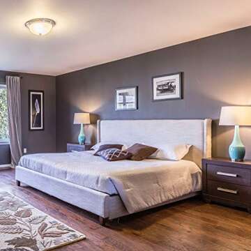 Energy Efficient Amazon Basics Soft White LED Light Bulb