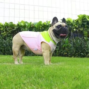iChoue French Bulldog Summer Cooling Shirt for Dogs UV Sun Protection Vest Sleeveless Breathable Tank Top English Pug Pink Green - Medium