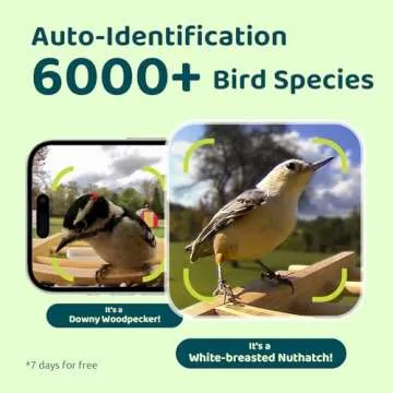NETVUE by Birdfy Upgraded Smart Bird Feeder Camera Solar Powered, Auto Capture Birds & Notify in Tim...