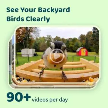 NETVUE Smart Bamboo Bird Feeder Camera for Eco-Friendly Birdwatching