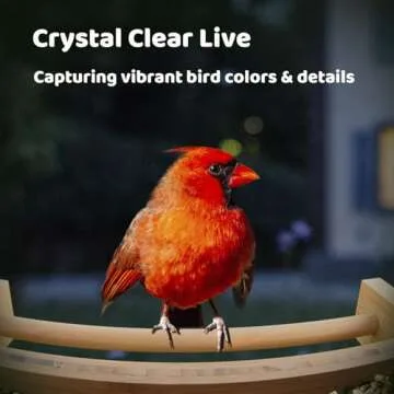 NETVUE Smart Bamboo Bird Feeder Camera for Eco-Friendly Birdwatching