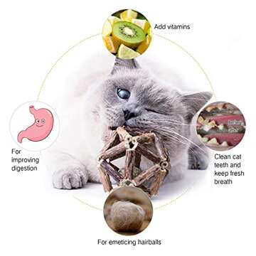 Gochanmon Catnip Toys-2Pcs Natural Silvervine Stick Catnip Ball&Bell Ball-Cat Toys for Indoor Cats- ...