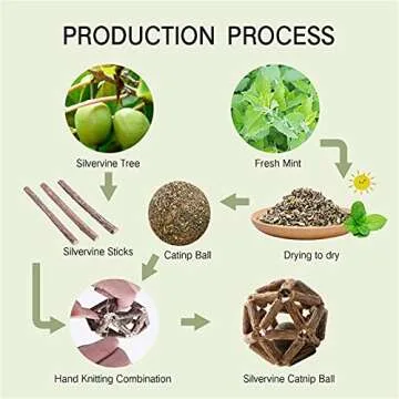 Gochanmon Catnip Toys-2Pcs Natural Silvervine Stick Catnip Ball&Bell Ball-Cat Toys for Indoor Cats- Cleaning Teeth Molar Tools Matatabi Cat Chew Toy-Kitten Toys All Breeds