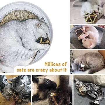 Gochanmon Catnip Toys-2Pcs Natural Silvervine Stick Catnip Ball&Bell Ball-Cat Toys for Indoor Cats- Cleaning Teeth Molar Tools Matatabi Cat Chew Toy-Kitten Toys All Breeds