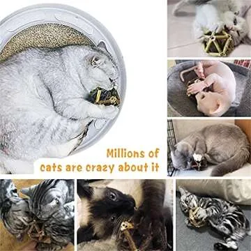 Gochanmon Catnip Toys-2Pcs Natural Silvervine Stick Catnip Ball&Bell Ball-Cat Toys for Indoor Cats- Cleaning Teeth Molar Tools Matatabi Cat Chew Toy-Kitten Toys All Breeds