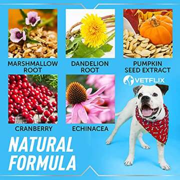 Vetflix Cranberry UTI Treatment for Dogs & Cats - USA Made