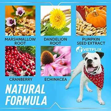 Vetflix Cranberry UTI Treatment for Dogs & Cats - USA Made