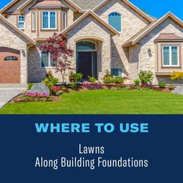 BioAdvanced 700280B Complete Insect Killer for Soil & Turf, Lawn and Yard Bug Killer, Ready-to-Spray, 32-Ounce