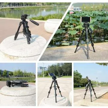 Mini Tripod for Camera,Zomei Travel Table Tripod with 3-Way Pan/Tilt Head 1/4 inches Quick Release Plate and Bag for DSLR Camera Tripod Carrying Bag