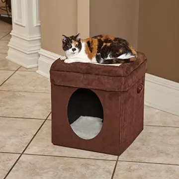 Curious Cat Cube: Stylish, Cozy Hideout for Pets