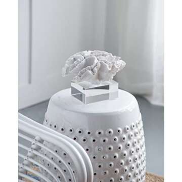 A&B Home Coral Sculpture - Elegant Beach Décor Centerpiece