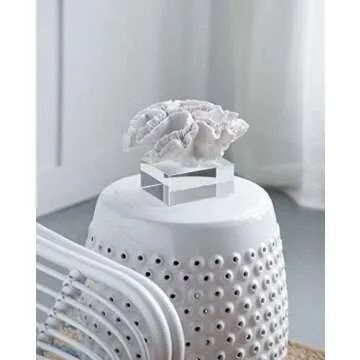 A&B Home Coral Sculpture - Elegant Beach Décor Centerpiece