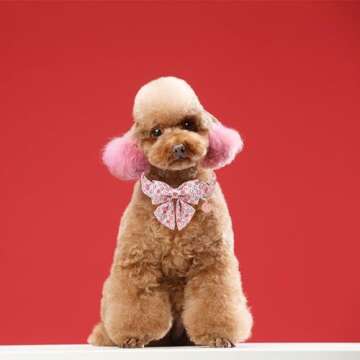 UP URARA PUP Valentine’s Dog Collar for Small Pets