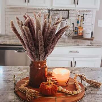 XHXSTORE 30pcs Fluffy Brown Pampas Grass Decor for Wedding & Home Styling