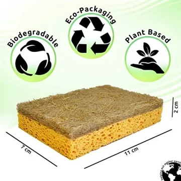 Buy Natural Sponge 10 Pack - Eco Friendly Kitchen Cleaning Tool