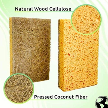 Buy Natural Sponge 10 Pack - Eco Friendly Kitchen Cleaning Tool