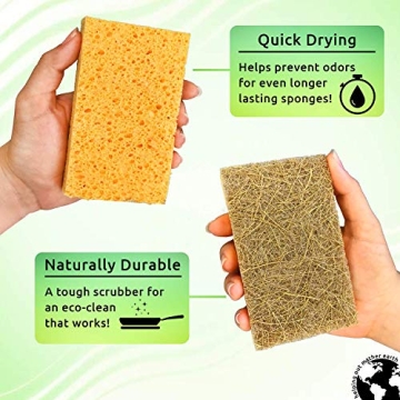 Buy Natural Sponge 10 Pack - Eco Friendly Kitchen Cleaning Tool