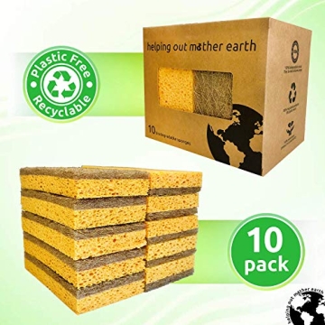 Buy Natural Sponge 10 Pack - Eco Friendly Kitchen Cleaning Tool