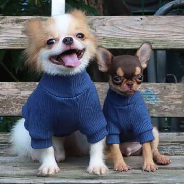 LOPHIPETS Small Dog Turtleneck Sweaters for Chihuahua Puppy Clothes-Blue/L
