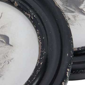 Elegant Round Wood Framed Bird Prints - Set of 4