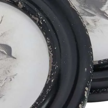 Elegant Round Wood Framed Bird Prints - Set of 4