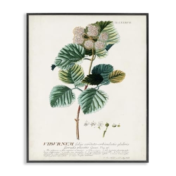Stupell Industries Wall Art - Botanical Vintage Prints