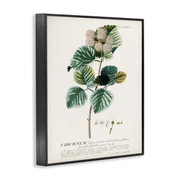 Stupell Industries Wall Art - Botanical Vintage Prints