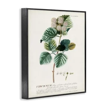 Stupell Industries Wall Art - Botanical Vintage Prints