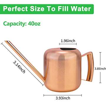 Watering Can for Indoor Plants Kitchenexus 40oz Stainless Steel Watering Pot with Long Spout Prevent spillage for Outdoor Indoor Garden Plants Flowers Succulents (40oz)