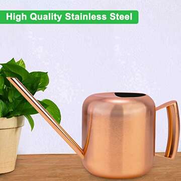 Watering Can for Indoor Plants Kitchenexus 40oz Stainless Steel Watering Pot with Long Spout Prevent spillage for Outdoor Indoor Garden Plants Flowers Succulents (40oz)