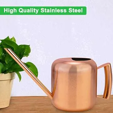 Watering Can for Indoor Plants Kitchenexus 40oz Stainless Steel Watering Pot with Long Spout Prevent spillage for Outdoor Indoor Garden Plants Flowers Succulents (40oz)