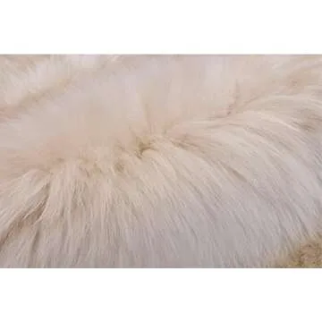 HUAHOO Premium Genuine Sheepskin Rug Linen Real Australia Sheepskin Natural Luxury Fluffy Lambskin Fur Area Rug Seat Covers for Kids Bedroom Sofa Chair Cover Pets Dogs Mat Double Pelt/2' x 6' Linen