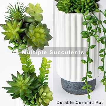 Stylish Hollyone Faux Succulent Plants Set for Home Decor