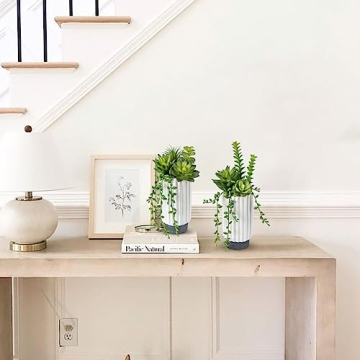 Stylish Hollyone Faux Succulent Plants Set for Home Decor